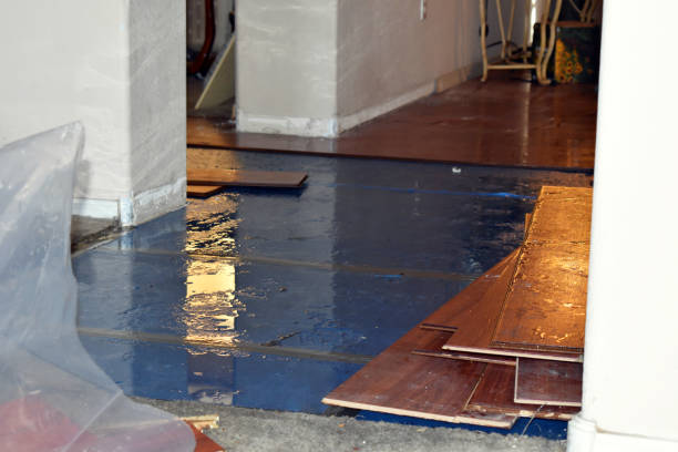 Professional Sewage Cleanup technician working in Brethren, MI